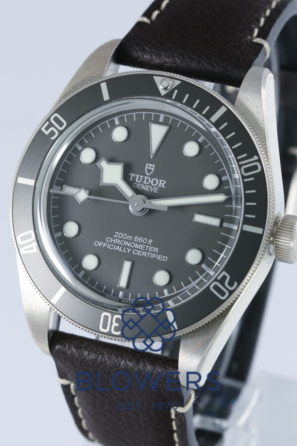 Tudor Black Bay Fifty-Eight 925 79010SG