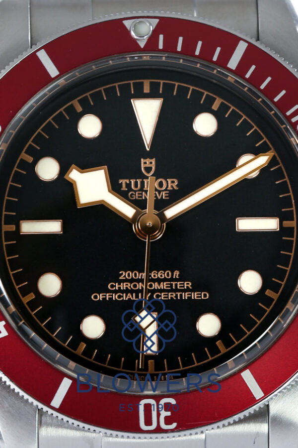 Tudor Black Bay 79230R