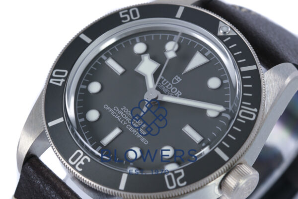 Tudor Black Bay Fifty-Eight 925 79010SG