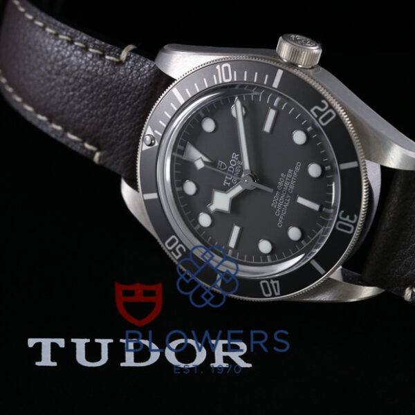 Tudor Black Bay Fifty-Eight 925 79010SG