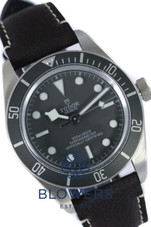 Tudor Black Bay Fifty-Eight 925 79010SG