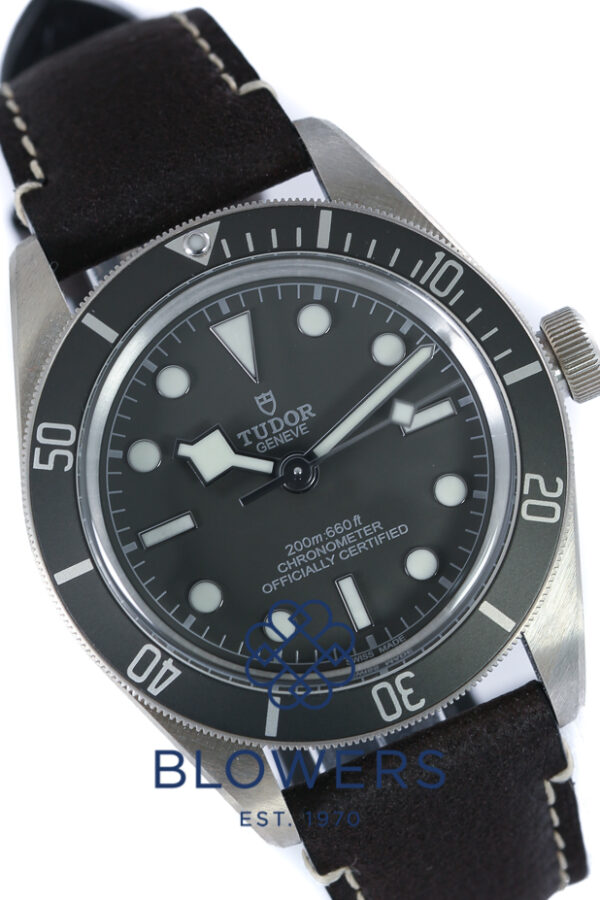 Tudor Black Bay Fifty-Eight 925 79010SG