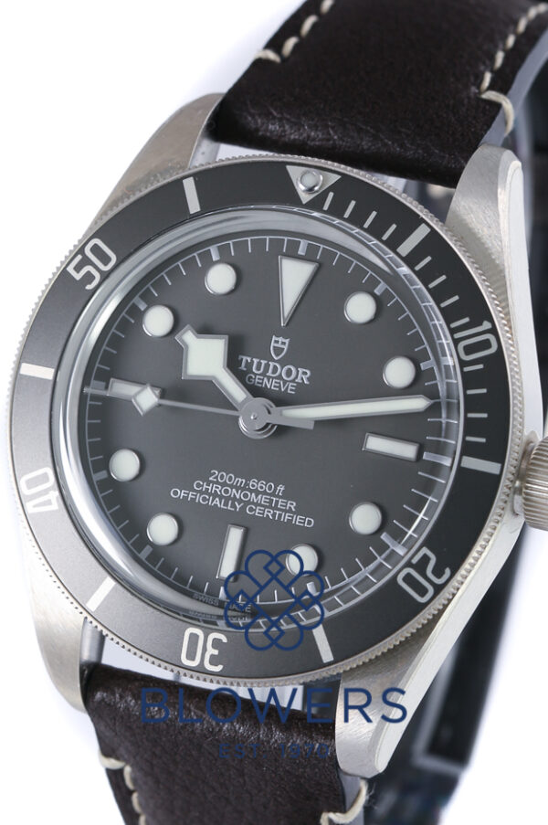 Tudor Black Bay Fifty-Eight 925 79010SG