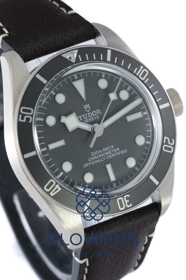 Tudor Black Bay Fifty-Eight 925 79010SG