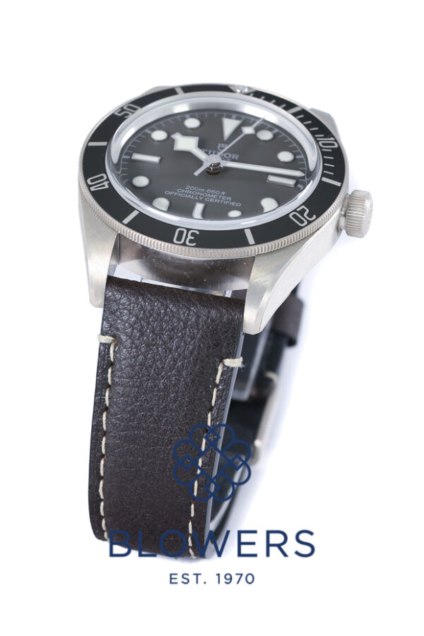 Tudor Black Bay Fifty-Eight 925 79010SG