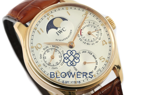 IWC Portuguese Perpetual Calendar IW502213