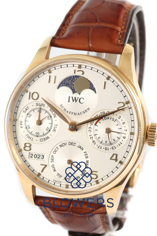 IWC Portuguese Perpetual Calendar IW502213