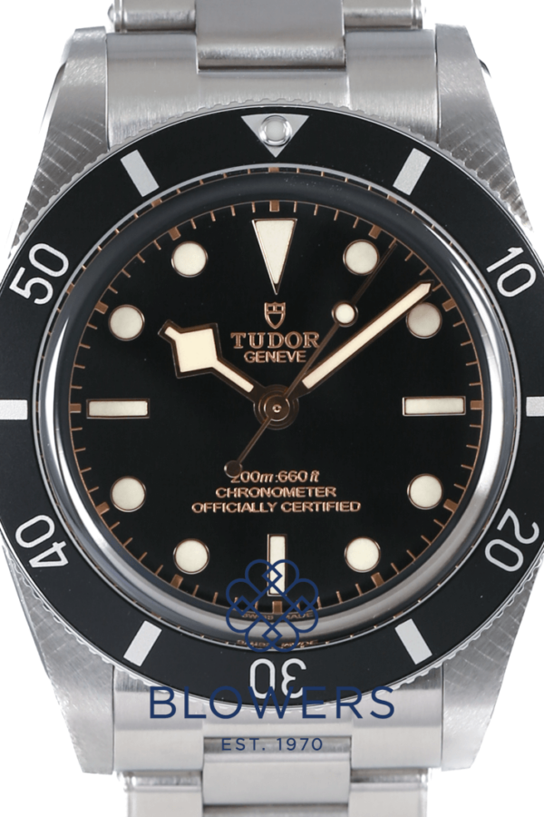Tudor Black Bay 54 79000N