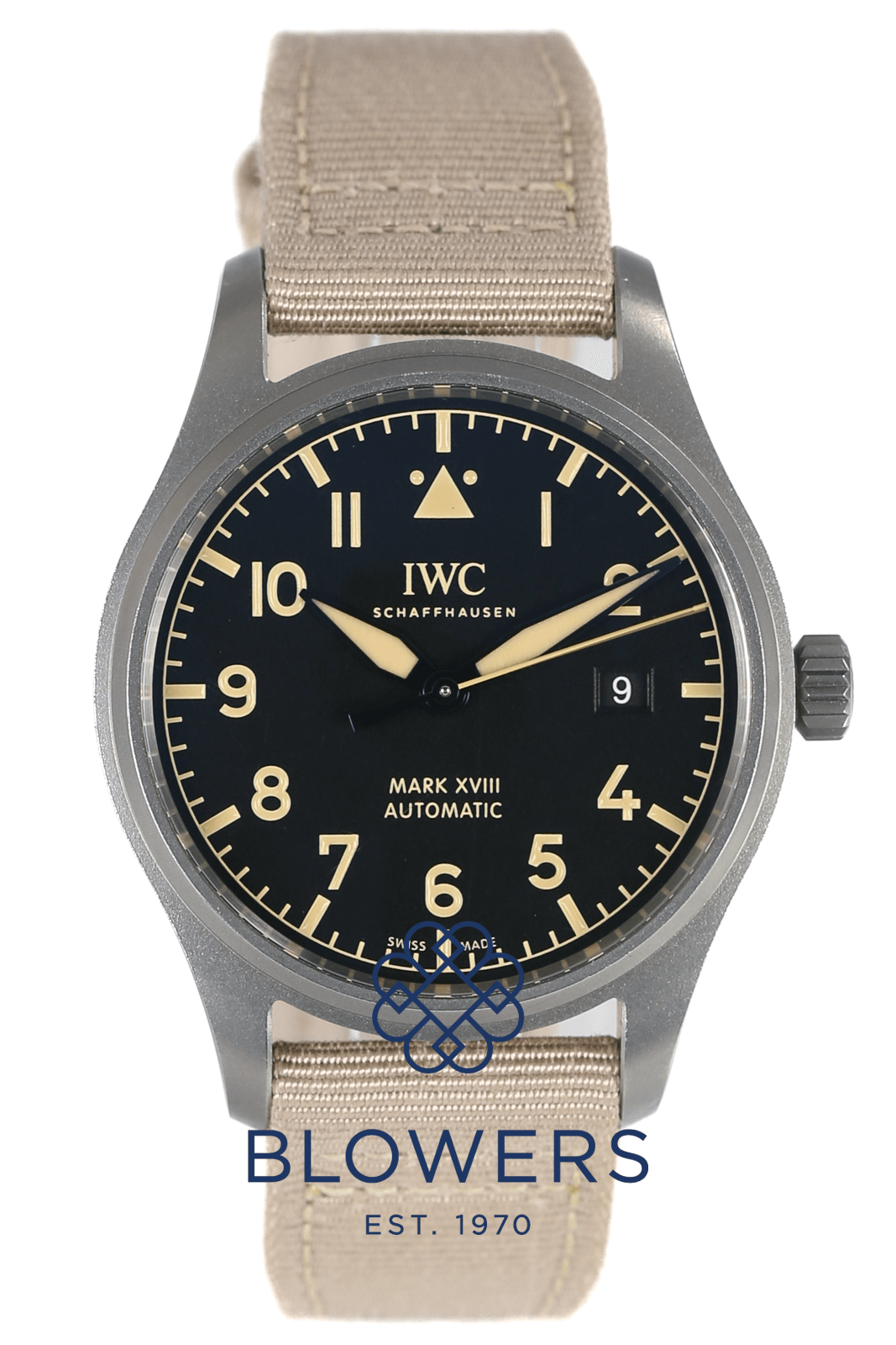 Iwc mark xviii titanium hot sale
