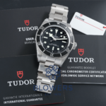 Tudor Black Bay 7941A1A0NU