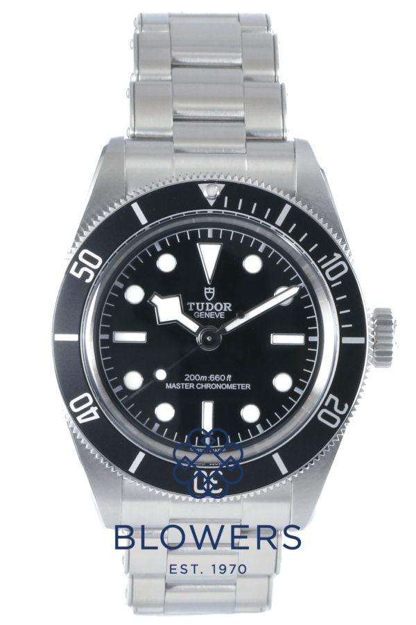 Tudor Black Bay 7941A1A0NU