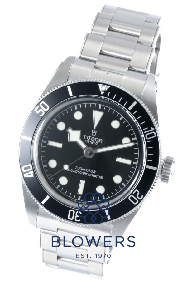 Tudor Black Bay 7941A1A0NU