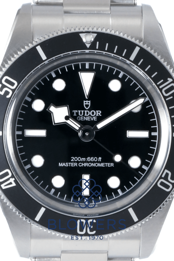Tudor Black Bay 7941A1A0NU