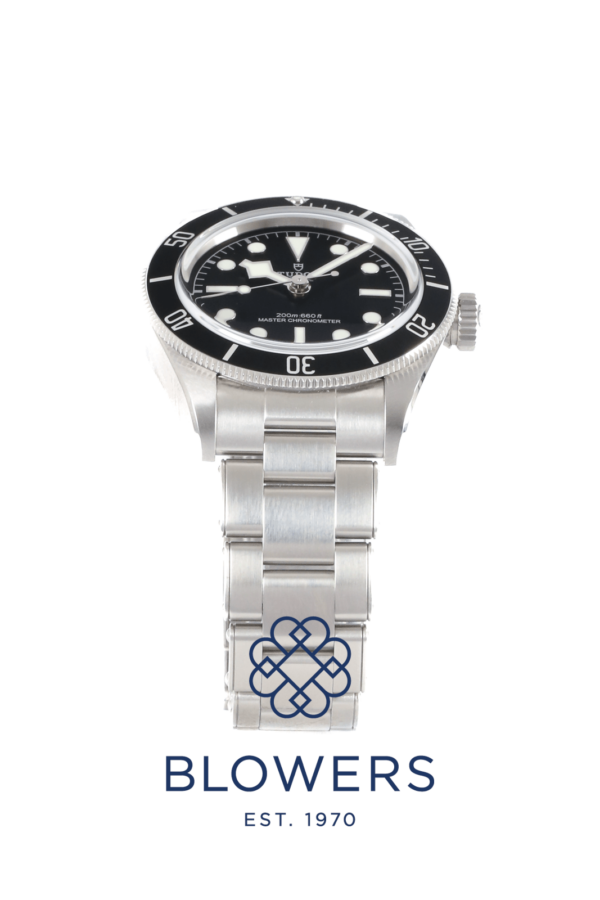 Tudor Black Bay 7941A1A0NU