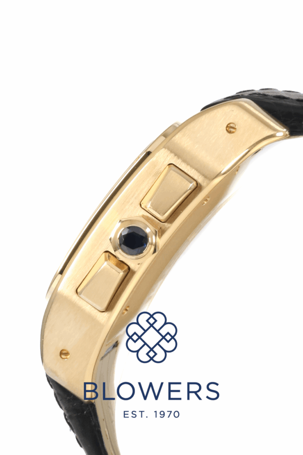 Cartier Santos 100 Chronograph XL W20096Y1