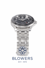 Omega Seamaster Professional 212.30.41.20.01.003