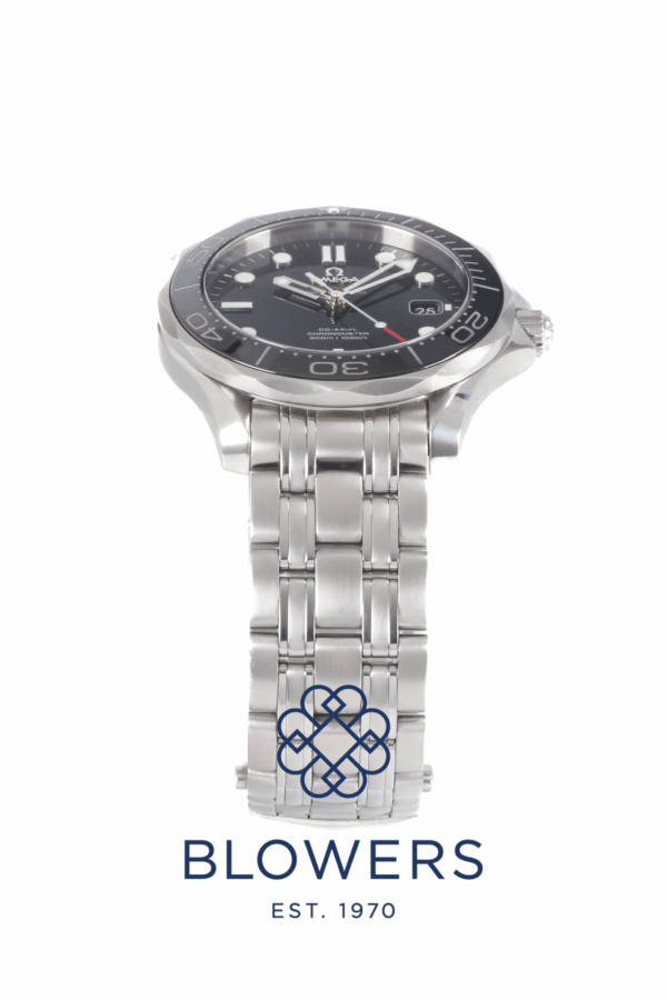 Omega Seamaster Professional 212.30.41.20.01.003