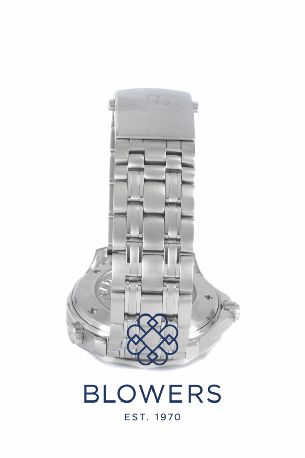 Omega Seamaster Professional 212.30.41.20.01.003