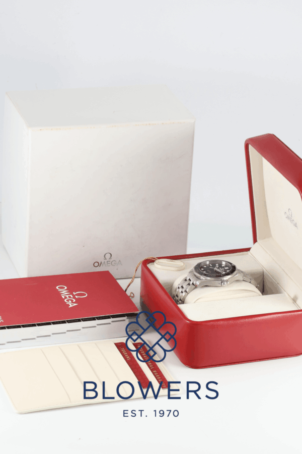 Omega Seamaster Professional 212.30.41.20.01.003