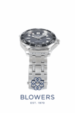 Omega Seamaster Diver 330m 210.30.42.20.01.001