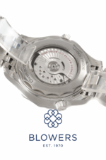 Omega Seamaster Diver 330m 210.30.42.20.01.001