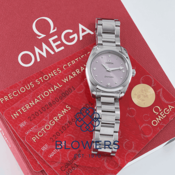Omega Seamaster Aqua Terra 220.10.28.60.60.001