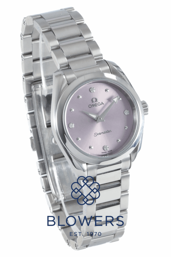 Omega Seamaster Aqua Terra 220.10.28.60.60.001