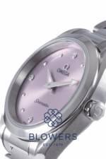 Omega Seamaster Aqua Terra 220.10.28.60.60.001
