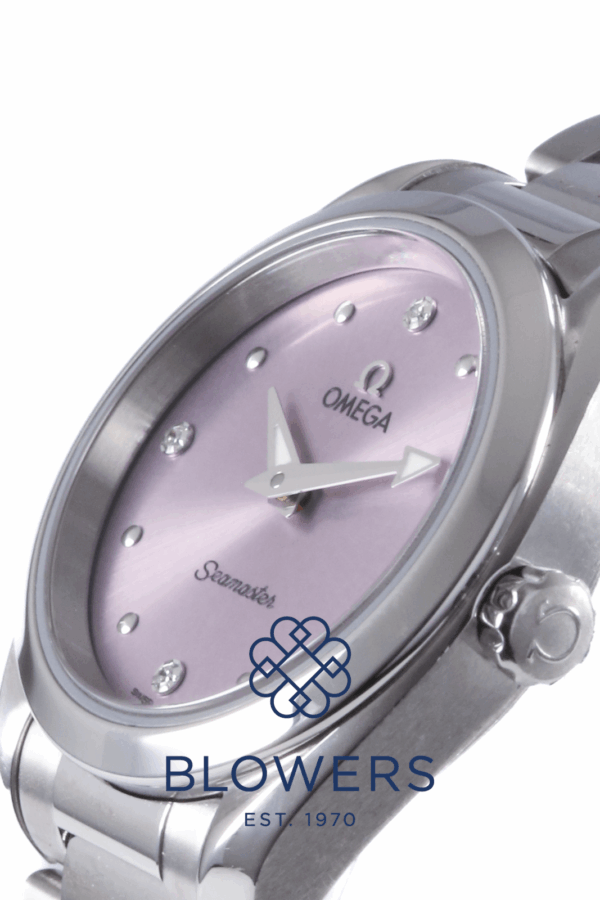 Omega Seamaster Aqua Terra 220.10.28.60.60.001
