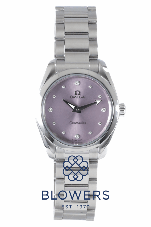 Omega Seamaster Aqua Terra 220.10.28.60.60.001