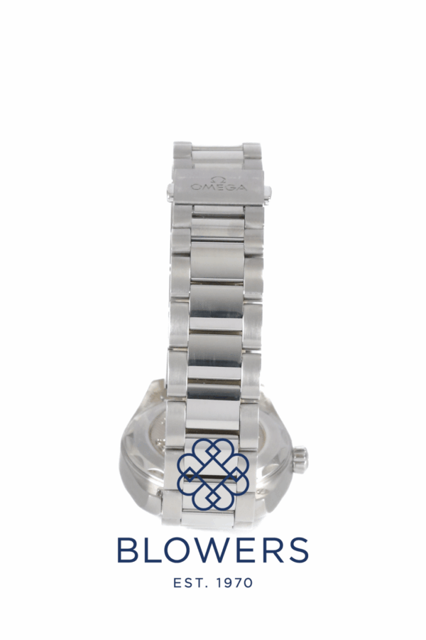 Omega Seamaster Aqua Terra 220.10.28.60.60.001