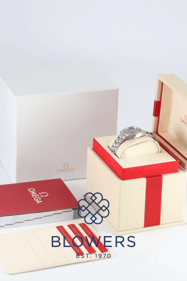 Omega Seamaster Aqua Terra 220.10.28.60.60.001