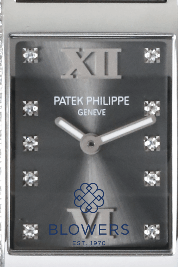 Patek Philippe Twenty~4 4910/10A-010