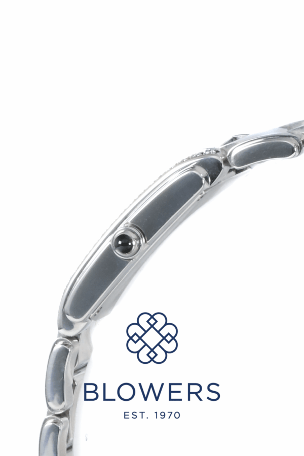 Patek Philippe Twenty~4 4910/10A-010