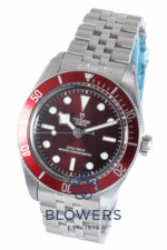 Tudor Black Bay 58 7939A1A0RU.