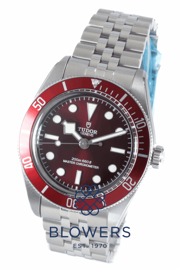 Tudor Black Bay 58 7939A1A0RU.