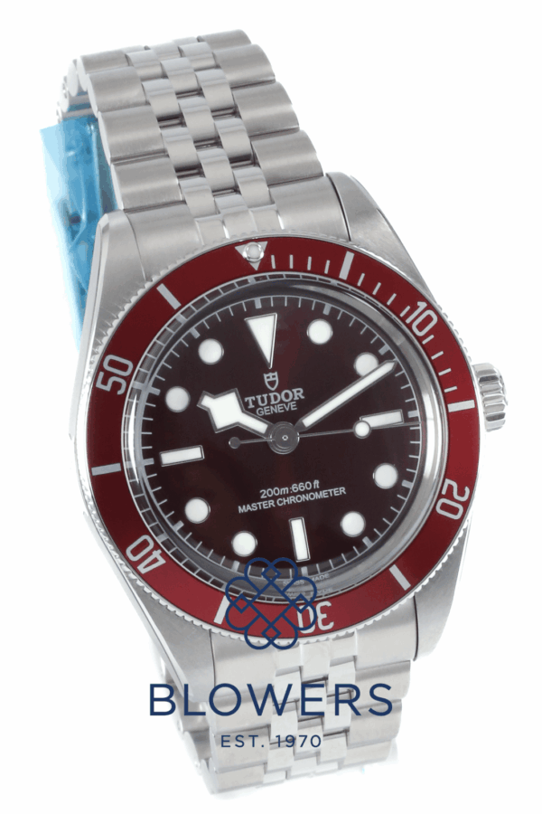 Tudor Black Bay 58 7939A1A0RU.