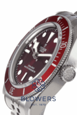 Tudor Black Bay 58 7939A1A0RU.
