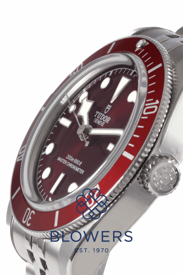 Tudor Black Bay 58 7939A1A0RU.