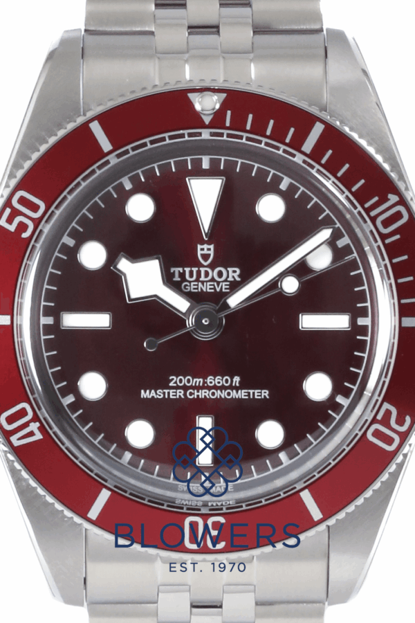 Tudor Black Bay 58 7939A1A0RU.
