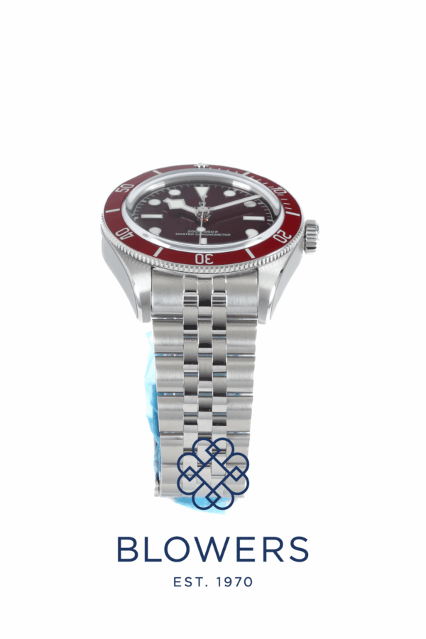 Tudor Black Bay 58 7939A1A0RU.