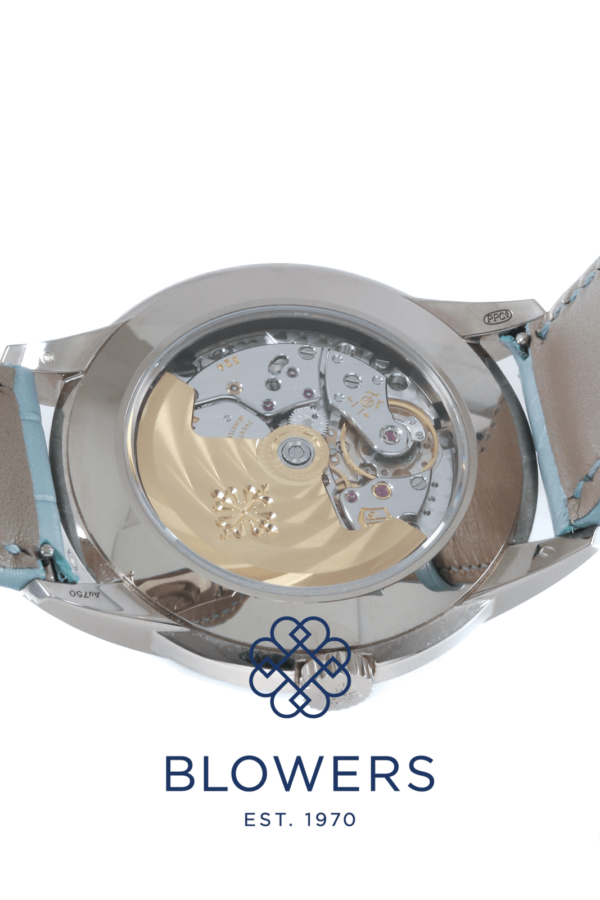 Patek Philippe Grand Complications Perpetual Calendar 5320G-011