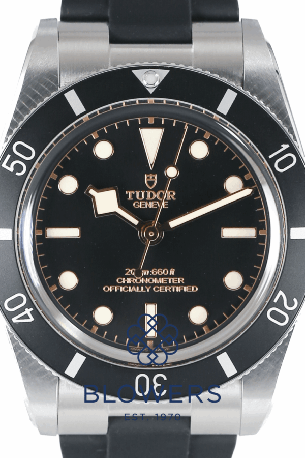 Tudor Black Bay 54 79000N
