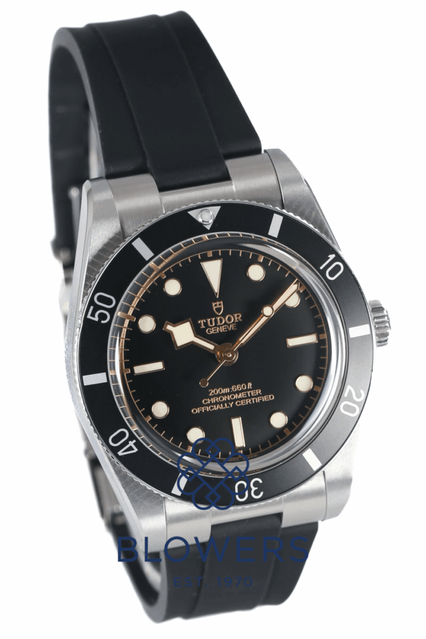 Tudor Black Bay 54 79000N