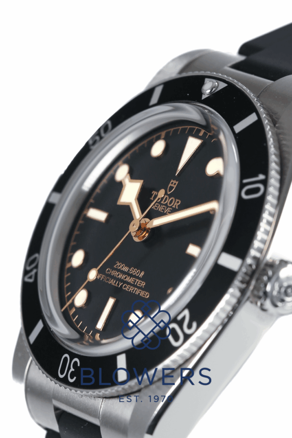 Tudor Black Bay 54 79000N