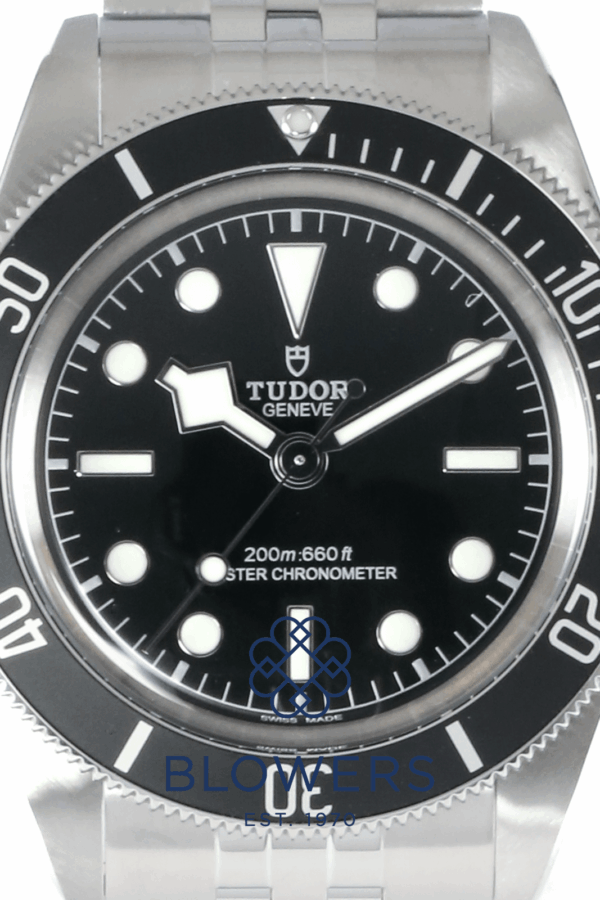 Tudor Black Bay 7941A1A0NU