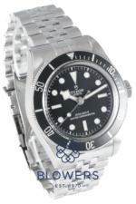 Tudor Black Bay 7941A1A0NU