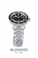 Tudor Black Bay 7941A1A0NU