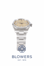 Rolex Oyster Perpetual 134300