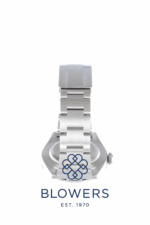 Rolex Oyster Perpetual 134300